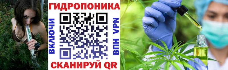 Купить закладку Ардатов Конопля Мефедрон NBOMe Гашиш