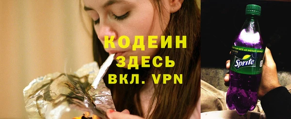 гашик Алзамай