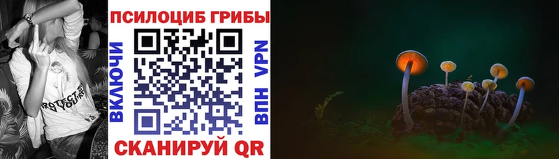Галлюциногенные грибы Psilocybine cubensis  Ардатов 